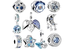 NHEMEYLP 10 Pcs Spacer Beads Charms for Bracelet Making, Pendants Beads for Jewelry Making, Polished Charms for Pandora Bracelet, Jewellery Gifts for Mom Girls Teen Family, Blue
