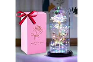 HFHungkeong Women's Birthday Gift, Galaxy Rainbow Rose Flower Artificial Flower Glass Light up Dome Butterfly Rose, Gift for Mother Girlfriend Grandma Sister Wife Teacher Mother's Day Day