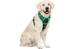 rabbitgoo Szelki dla psa bez ciągnięcia, z 2 klipsami do smyczy, regulowane, miękkie, wyściełane, odblaskowa kamizelka dla zwierząt z wygodnym uchwytem, dla dużych psów, czarno-turkusowa, rozm. XL