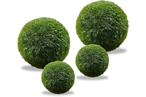 LuckyOpt 4 bolas verdes de alga en vivo, naturales para acuario, decoradas con bolas vivas (2 tamaños: verde)