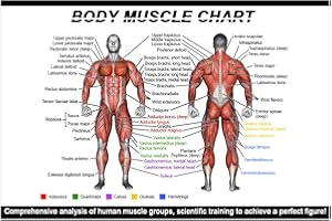 GENERIC Gym Posters Set – Dumbbell Workout Charts (16"x24") – Home Gym Decor, Exercise Guide for Men & Women (1)