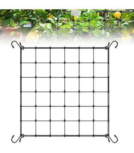 LeGeYo Filet De Treillis élastique 70×70cm Avec 4 Crochets, Support