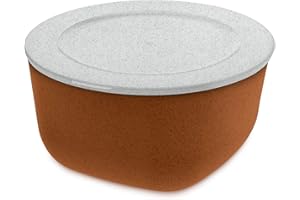 Koziol Box mit Deckel Connect L, Aufbewahrungsbox, Organizer, Kiste, Thermoplastischer Kunststoff, Organic Rusty Steel, 2 L, 3871674