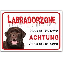 AdriLeo Warnschild 'Vorsicht Hund' – Alu-Verbundplatte, Wetterfest, 20x30 Cm, Für Gartenzaun & Haustür