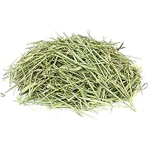 Heuland Wiesenheu 1kg - Premium Heu Für Kaninchen & Meerschweinchen