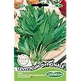 Germisem Levisticum Officinale Semi di Levistico 1 g