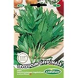 Germisem Levisticum Officinale Semi di Levistico 1 g