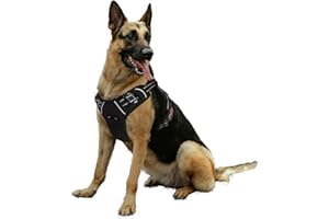Bihotzak Arnes Perro Pequeño Mediano Grande sin Tirones Accesorios para Perros Ajustable Transpirable Reflectante con Cierres de Seguridad (Negro, L)