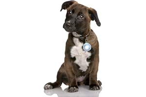 Ciondolo luminoso LED batterie incluse per cane gatto animale domestico Lampadina luminosa LED da appendere al collare di colore bianco New Marchio PRECORN