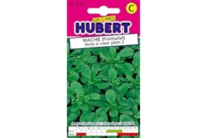 GRAINES HUBERT SEMENCES & ENGRAIS MAIROL Graines de Mâche Verte à Coeur Plein 2 - 4 grammes