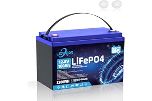 JOYYKO Batteria litio 12V, LiFePO4 ricaricabile da 100Ah con BMS Incorporato garantisce oltre 15000 cicli di ricarica profonda, adatta per camper, golf cart, tosaerba, pannelli Solare, Antifurto, campeggi