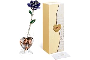 Mikasol Gold Getaucht 24K FüR Immer Bewahrte Rose, Flower Decor Hand Eingetaucht Romantisches Geschenk FüR Frauen In Ihre Frau Freundin GeburtstagsjubiläUm Valentines Muttertag Weihnachten (Blau)