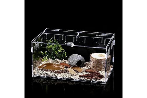 AMZTEMU Terrarium phasme, Boîte à Nourrir en pour Reptiles, Ensemble de récipient en acrylique d'insecte, Habitat Portable(30*20*15cm)