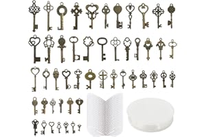 Baxcdyswe 101 Pièces Clés Décoration Des, 50 x Clés Volantes Charmes, 50 x Ailes De Libellule, 1 x 30 Mètres Fil Perlé, Collier Pendentifs pour DIY Colliers Clés Artisanales, Decoration Noël, Mariage