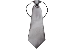 BONNIN Elastic Boys Neck Tie, Child Kids School Boys Tie Soft Polyester For Formal Wear, Weddings, Prom, Celebration, parties