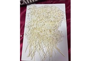 SHIIYYU 60Pcs Dried Baby's Breath Flowers, Real Nature Dried Mini Gypsophila Flowers , Dried Pressed Flowers for Resin Art Craft DIY Making Wedding Card Home Party Décor (White)