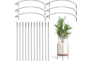 Griwuut 6 pali di supporto semicircolari per piante da giardino, 35,5 x 20,3 cm, supporti ad anello per fiori, peonie, ortensie, rose, pomodori