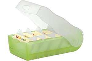 HAN schedaritto CROCO – apprendimento del vocabolario ingegnosamente semplice grazie al sistema di apprendimento a 5 argomenti, scatola di schede DIN A8, traslucente-verde, 998-603