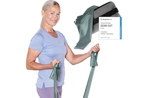 ARTZT - QUALITY SPORTS AND HEALTH EQUIPMENT TheraBand 2,50m inkl. Türanker + Tasche | Widerstandsbänder | Terrabänder | Gymnastikband | Fitnessband | Stretchband | Heimtraining, Krafttraining, Rückenübungen, Therapie, Reha | 100% Naturlatex