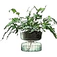 LSA International Canopy Recycled Self Watering Planter, 13cm, H13cm
