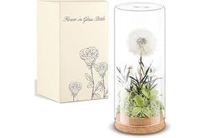 Blulu Vero Dente di Leone in Vetro Regali di Dente di Leone per Donna Fiori Conservati in Barattolo Regali per Compleanno Festa della Mamma Nozze Natale Mamma Nonna Amica