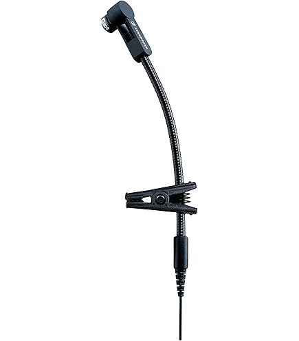 Shure Beta 98DS micro instrument statique : Amazon.in: Musical