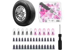 YUXIANLB 40pcs Tire Plug Kit with Screwdriver Tire Repair Rubber Nail Self-Service Vacuum Tyre Screws (20S+20L) Fast Repair Quick Puncture Tools with a Box for Car Motorcycle Truck Tractor
