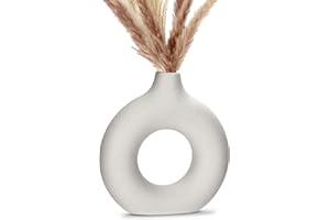 VVHIPPO Jarrón De Cerámica Hecho a Mano, Jarrones Decorativos Modernos, Jarrón de Cerámica Hueco Circular, Flores Secas de Cerámica Blanca, para Flores, Salón, Oficina, Boda, Comedor, Fiesta, Regalo (M)