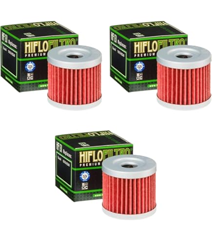 Filtre à Huile HF141 | HIFLOFILTRO | TM Moto | RAW Motorsports