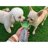 Taşınabilir K&ouml;pek ve Kedi Su Kabı Kapağı | Şişe Uyumlu Suluk