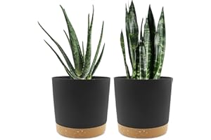 QCQHDU Lot de 2 Pots de Plantes 20.3cm, Pots pour Plantes d'intérieur avec Trous de Drainage et Base Amovible, Soucoupe décorative Moderne pour jardinières d'extérieur (Noir 20.3cm)