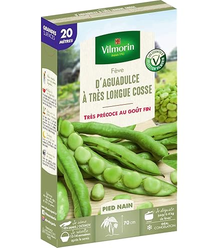 Graines De Épinard Matador D’Été - Foto 13