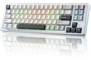 YUNZII AL71 68% tastiera meccanica, all-alluminio CNC, anello hot-swap, 2,4 GHz, tastiera wireless BT5.0/USB-C da gioco, NKRO RGB, per Win/Mac (argento, crystal white switch)