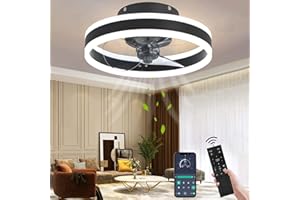 Wildcat Ceiling Fan with Lighting, Quiet Modern LED with Remote Control, Timer, Fan, Ceiling Light, Fan Light for Living Room, Bedroom, Dining Room