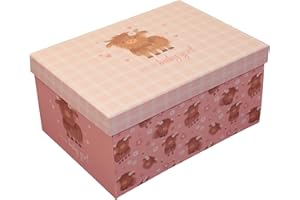 Design By Violet “Hello Baby Girl” Keepsake Gift Box – Pink Highland Cow Newborn Memory Box for Baby Shower, Christening & New Baby Girl Presents – FSC Rigid Cardboard Flat Pack Storage Box