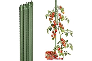 Sekey Tomaten Rankhilfe, Pflanzenstütze für Gurken, Bohnen, Himbeeren, Blumen, Kunststoff Beschichtetes Stahlrohr Rostfrei Pflanzenstäbe, 75 cm x 8 mm, 20 Stück