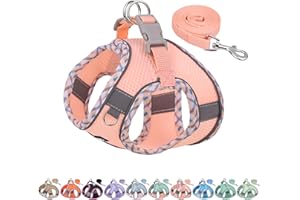 AIITLE Kleines Hundegeschirr, Katzengeschirr mit Leine, einstellbares Hundegeschirr mit Schnellverschluss, reflektierende Weste für extra kleine Hunde und Hauskatzen Rosa XXS