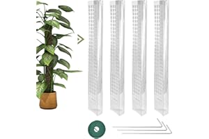 SPEACOUR 4 Pz Pali per Piante Rampicanti 61cm Tutore Piante Rampicanti Supporto Piante con 3 Chiodi e Cravatta Bastone Muschio Piante Rampicanti Monstera Stecche Piante Rampicanti da Interni e Esterni