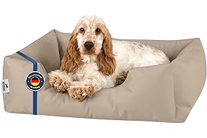 BedDog Cuscino Cane M - Cuccia Cane Interno Taglia Piccola - Cuccia per Cani - Lettino per Cani - Letto per Cani in Tessuto Alicante e Cordura - Cucce per Cani da Interno