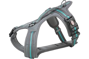 TRIXIE Fusion - Fusion Arnés Confort, S–M, 45–54 cm/20 mm, Grafito/Azul océano
