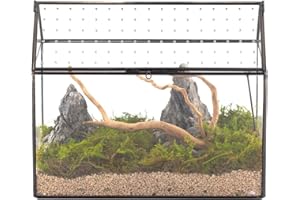 NCYP 26x15x21cm, Terrario de Cristal en Forma de Casa Con Tapa Acrílica, Caja Geométrica Grande Hecha a Mano para Caracoles, Suculentas, Plantas, Regalo DIY (Sólo Terrario)