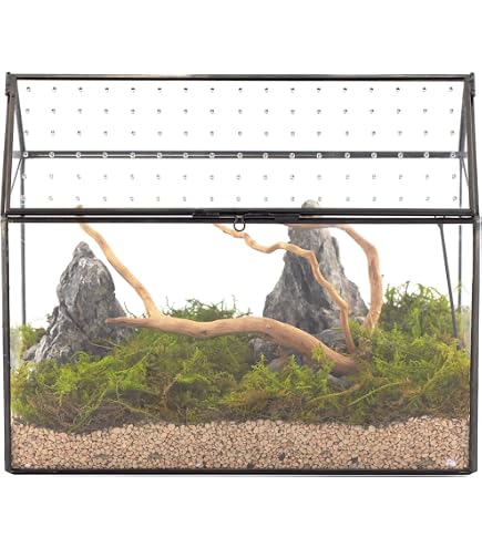 Terrario Per Rettili 50x25x20 Cm Con Coperchio A Schermo - A Tenuta D'acqua, Sicuro, Ideale Per Ragni, Insetti, Piccoli Rettili