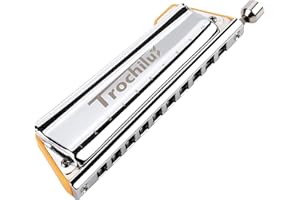 JDR Trochilus Chromatische Mundharmonika 10 Löcher Chromonica Tonart C Armonica Valveless Harp Mundharmonika mit Etui für Erwachsene Profis Anfänger (Chromatisch/Solostimmung Tonart C)