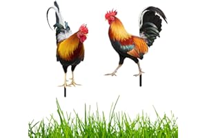 YEJAHY Set di 2 picchetti da giardino a forma di gallo, statua artistica in acrilico, accessori per la decorazione di prato e giardino, regali