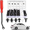 Duomama Car Clips & Plastic Rivets Assortment Kit - 6 Sizes for Easy Body Fixes & Fender Replacement - Universal Fit for Most Models - Durable Automotive Fasteners-100PCS