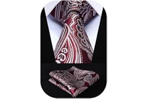 HISDERN Męski krawat paisley chusteczka ślubna krawat i poszetka zestaw