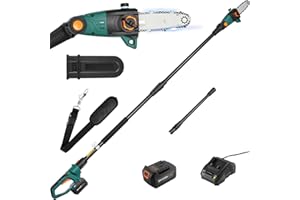 LIFERUN Potatore Telescopico,Sega ad Asta a Batteria,Sega Potatrice Elettrica,Batteria 20V 4Ah e Caricabatterie,Lama 24cm,Velocità Catena 5 m/s,Auto-Lubrificante,Testa Inclinabile,incl. Tracolla,Asta 300cm