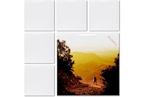 Sumex Piastrelle in ceramica per lavori artigianali, 6 pezzi, bianco lucido, piastrelle in ceramica per pressa a caldo (15 x 15 cm)