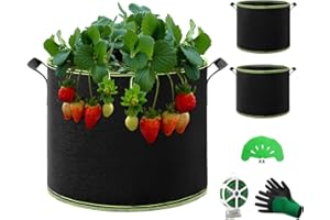 QCR Tomato Plant Bag, Pack of 3, 57 L Grow Bag with Handles, Garden Greenhouse Planting Bag for Potatoes, Tomatoes and Strawberries, 57 Litres (D45 x H35)