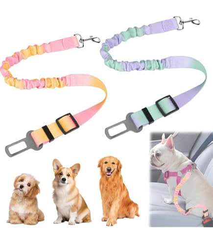 Cintura Di Sicurezza Per Cani In Auto - Guinzaglio Regolabile Con Ammortizzatore, Nylon Riflettente - Foto 11